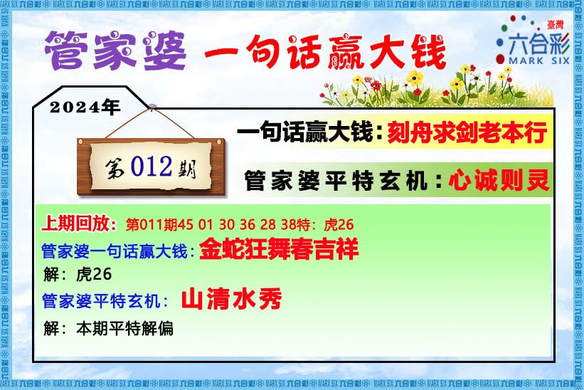 管家婆白小姐四肖四码,全面释义解释与落实展望