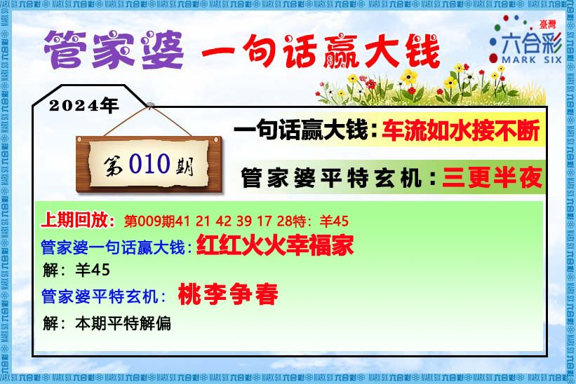 管家波一肖一码100精准,词语释义解释与落实展望